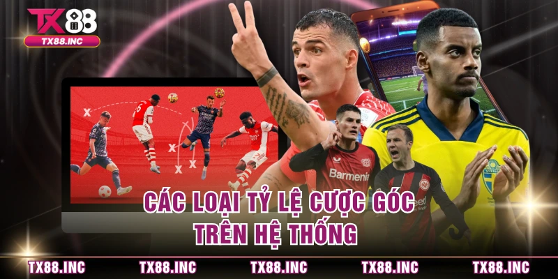 Các loại tỷ lệ cược góc trên hệ thống 