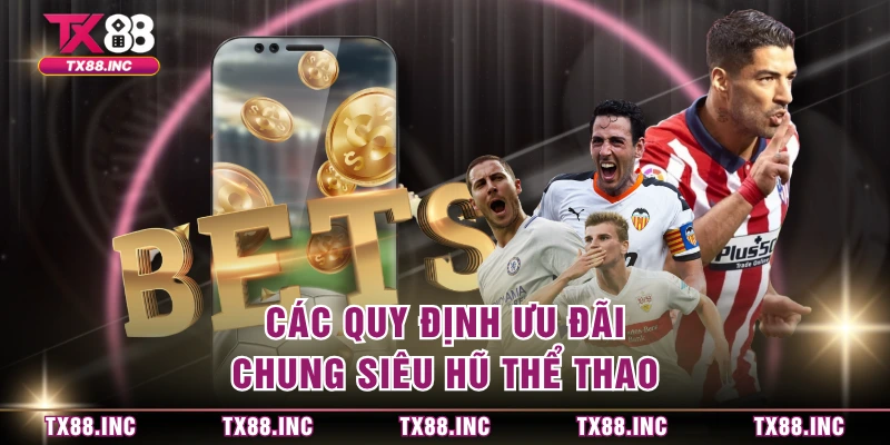 Các quy định ưu đãi chung siêu hũ thể thao