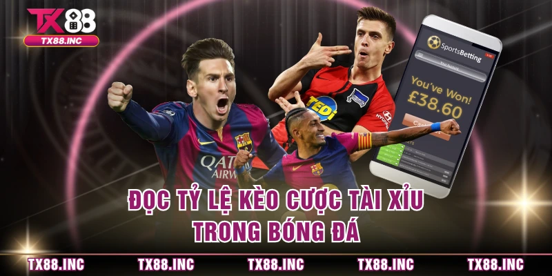 Đọc tỷ lệ kèo cược tài xỉu trong bóng đá