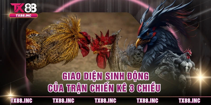 Giao diện sinh động của trận chiến kê 3 chiều 