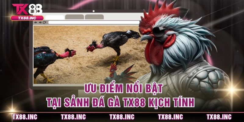 Ưu điểm nổi bật tại sảnh đá gà TX88 kịch tính